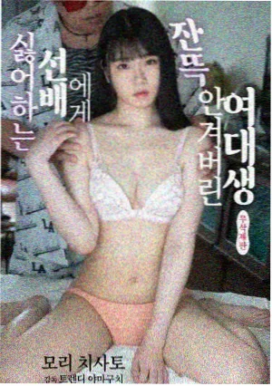 纸上江湖改编剧封面
